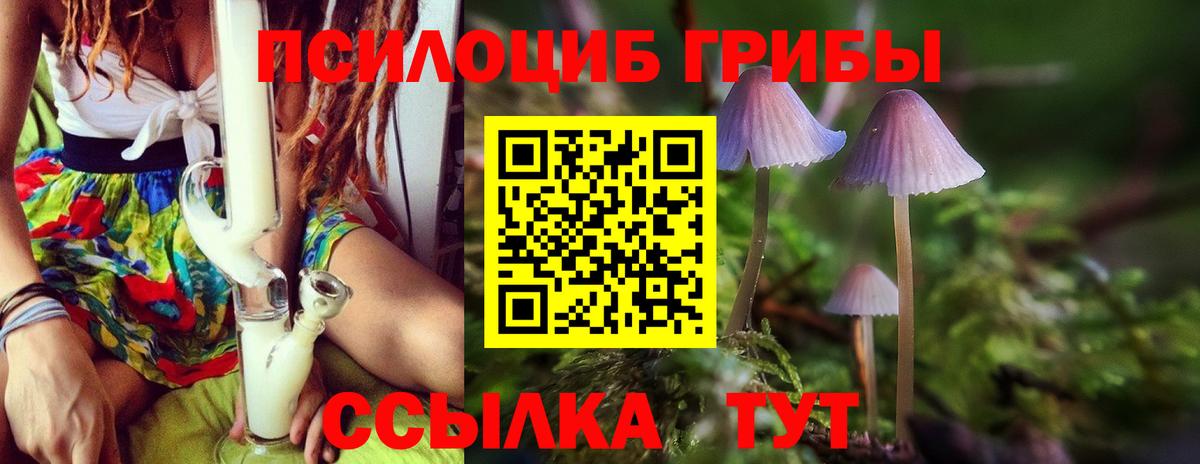 Псилоцибиновые грибы прущие грибы Десногорск
